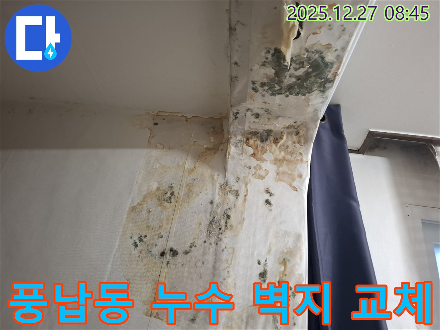 풍납동 누수 현장 - 곰팡이 슨 벽지 교체 및 방습 시공, 누수탐지 전문가의 쾌적한 공간 만들기