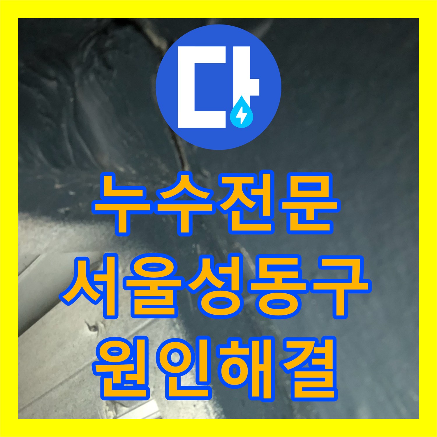 누수전문 서울 성동구 아파트 세탁실 유가 주변 방수층 파손 보수 과정