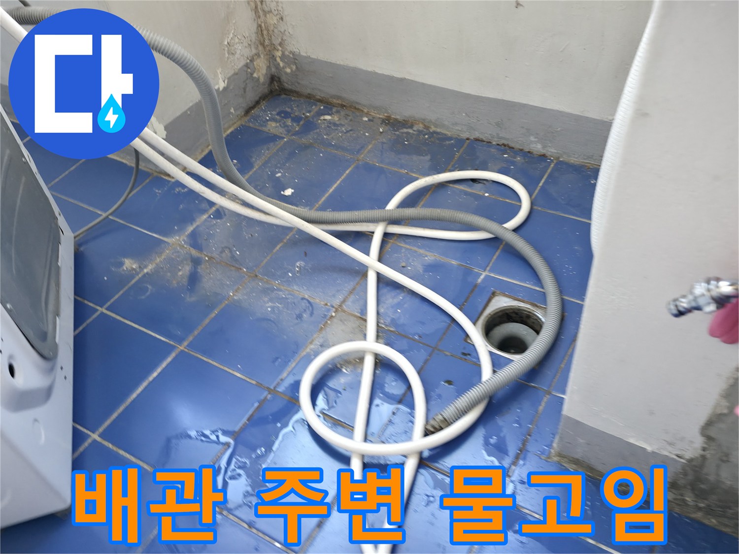 성동구 아파트 세탁실-배수구 근처 누수 의심 부위 사진