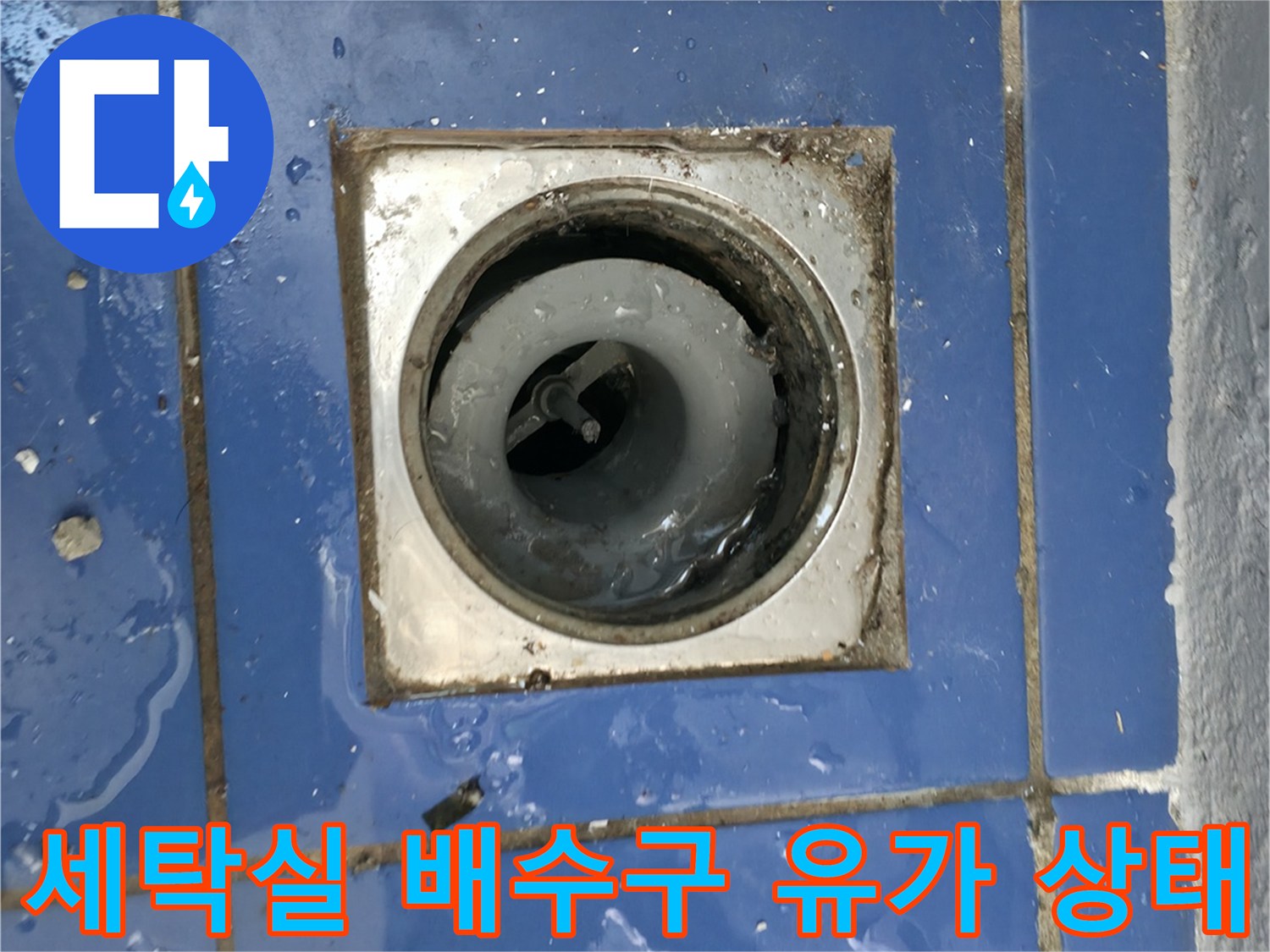 성동구 아파트-세탁실 배수구 주변의 물고임 현상