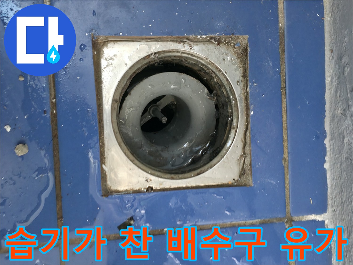 성동구 현장-물이 스며든 세탁실 하수구 부위