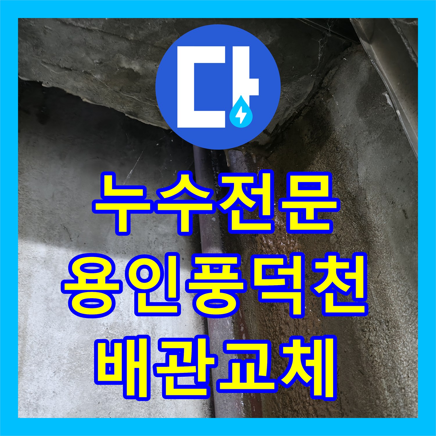 누수전문 지하층 천장으로 물이 계속 떨어지는 복잡한 배관 결함 해결한 경기 용인시 수지구 풍덕천동 현장