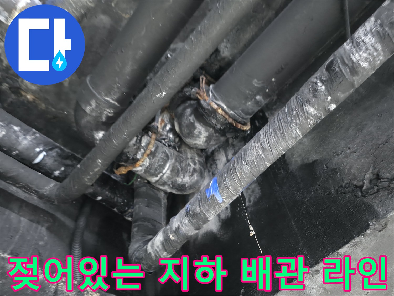 습기로 인해 검게 변한-지하층 배관과 천장 구조물