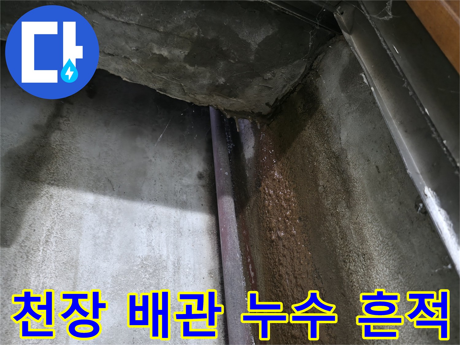용인 수지-배관 주변 콘크리트의 젖은 얼룩과 습기 상태
