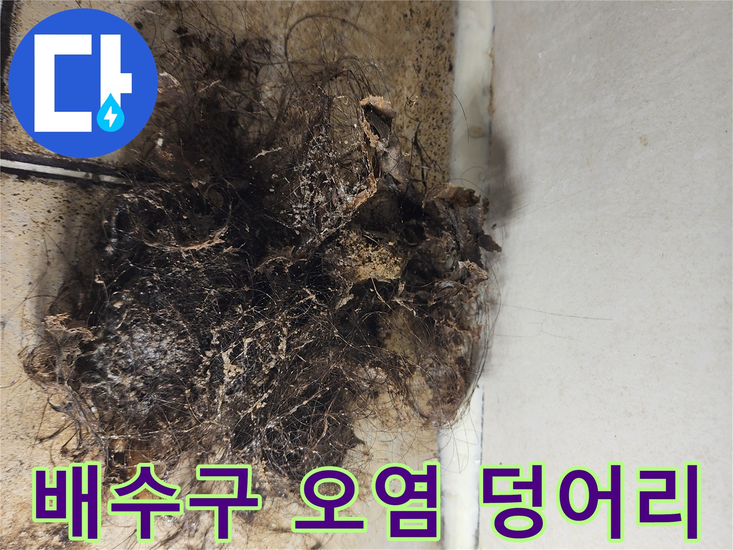 배관 주변에 뭉쳐 있는 머리카락과 오염된 퇴적물 덩어리