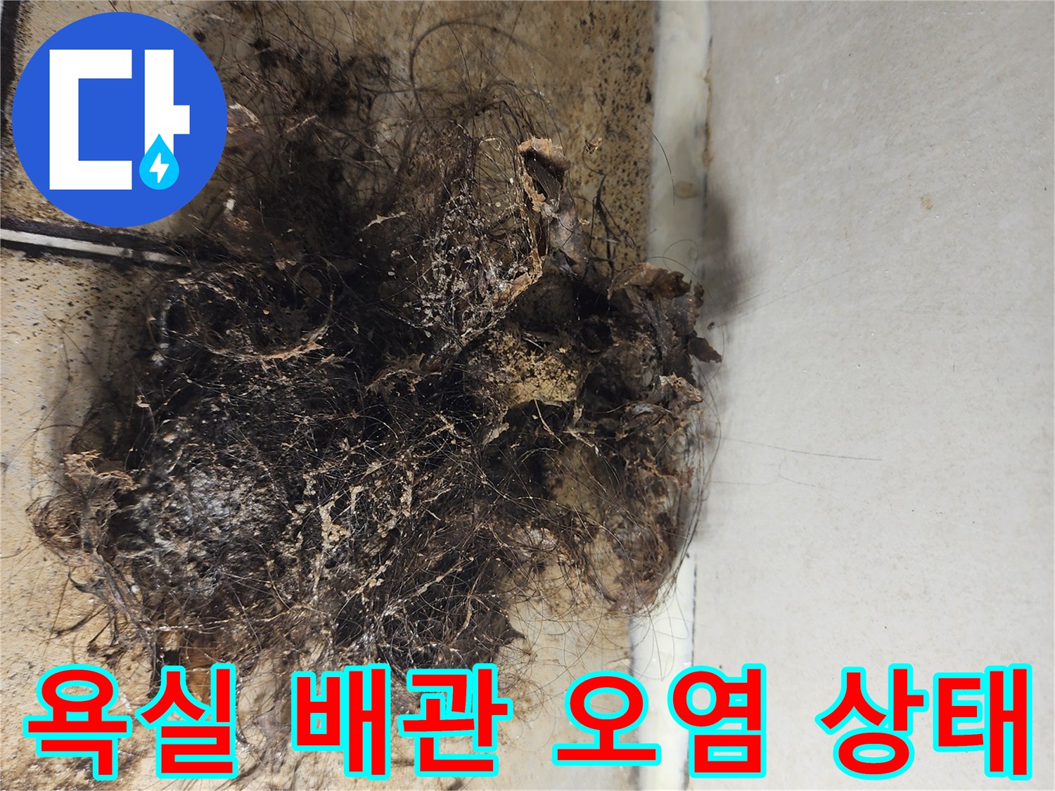 배관 틈새 사이로 스며든 물과 엉겨 붙은 머리카락 뭉치