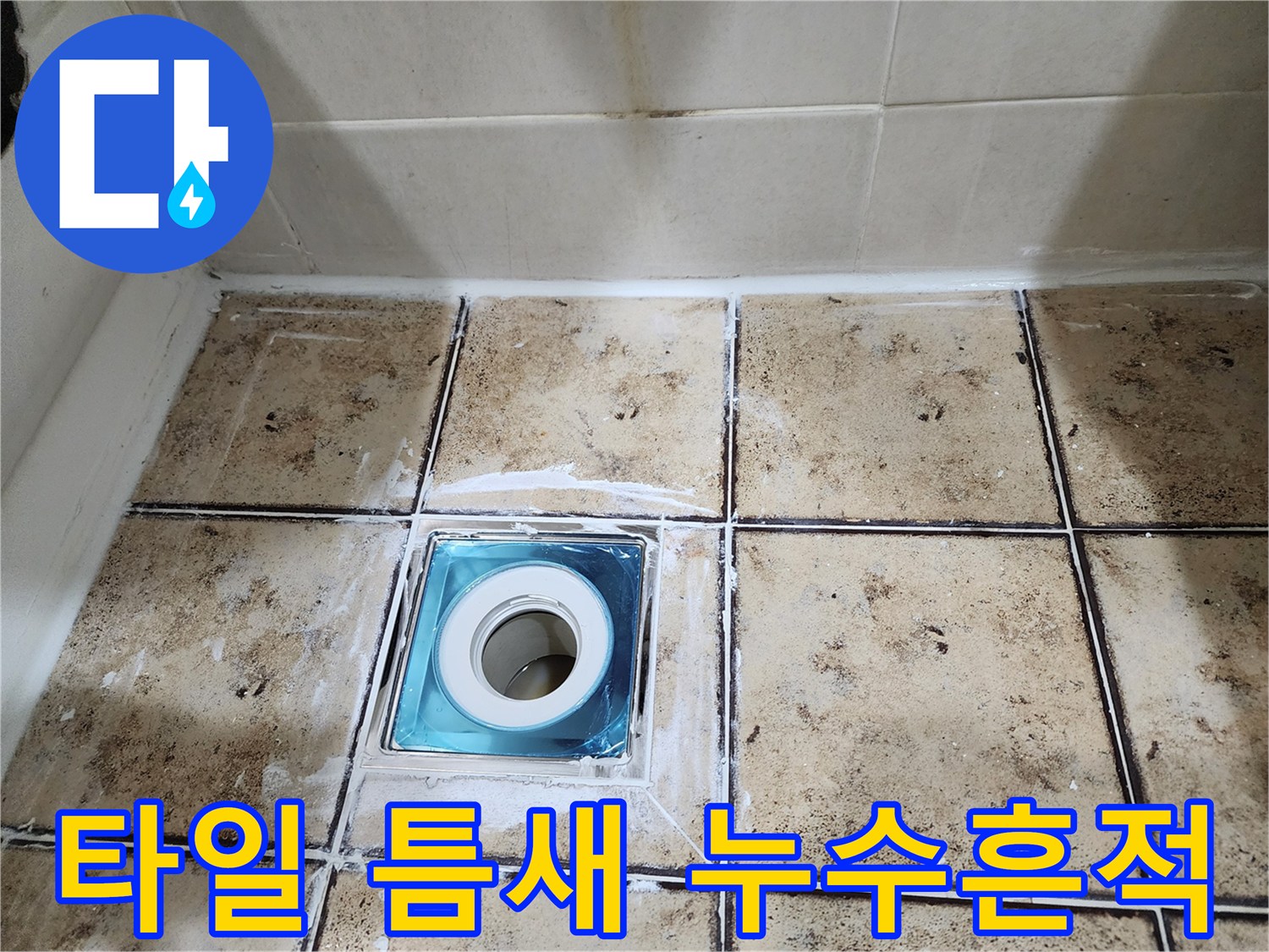 배수관-주변-타일-사이-오염된-모습