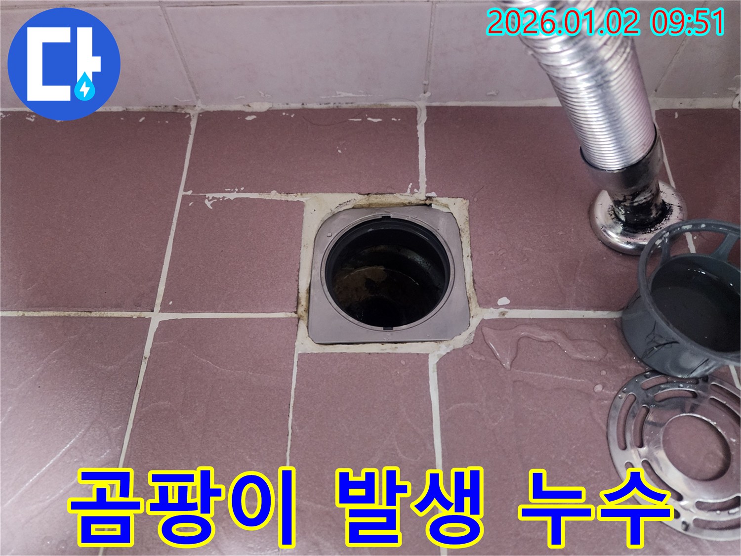 곰팡이가 핀 욕실 배수구 주변 - 상계9동 누수 전문가가 누수 해결과 곰팡이 제거를 동시에!