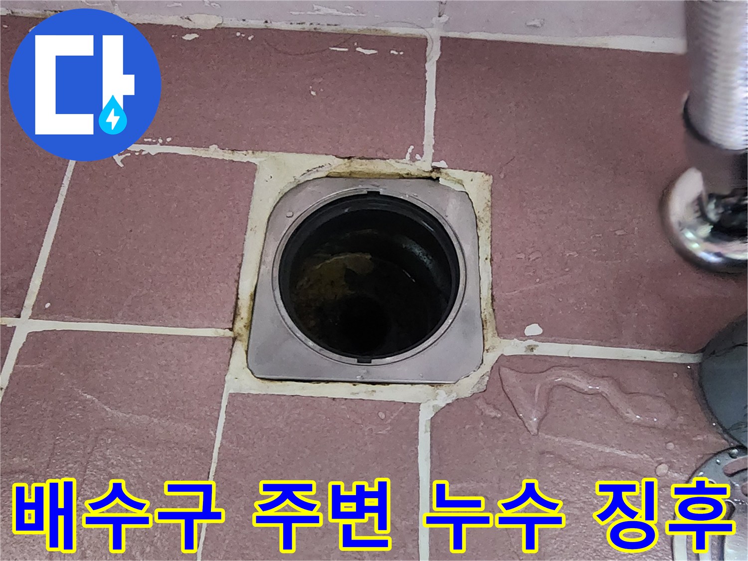 상계동 욕실 현장의-유가 주변 타일 사이 물기 스며듦 확인
