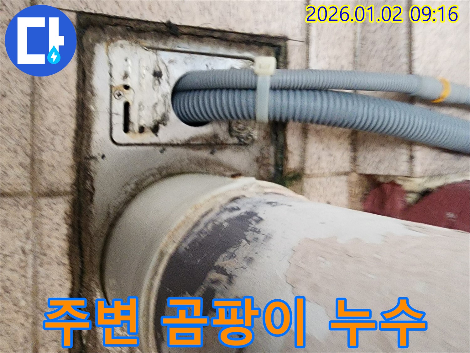 세탁기 배수구 주변 곰팡이 - 배수구 주변에 곰팡이가 피어 누수를 의심하고 있습니다.