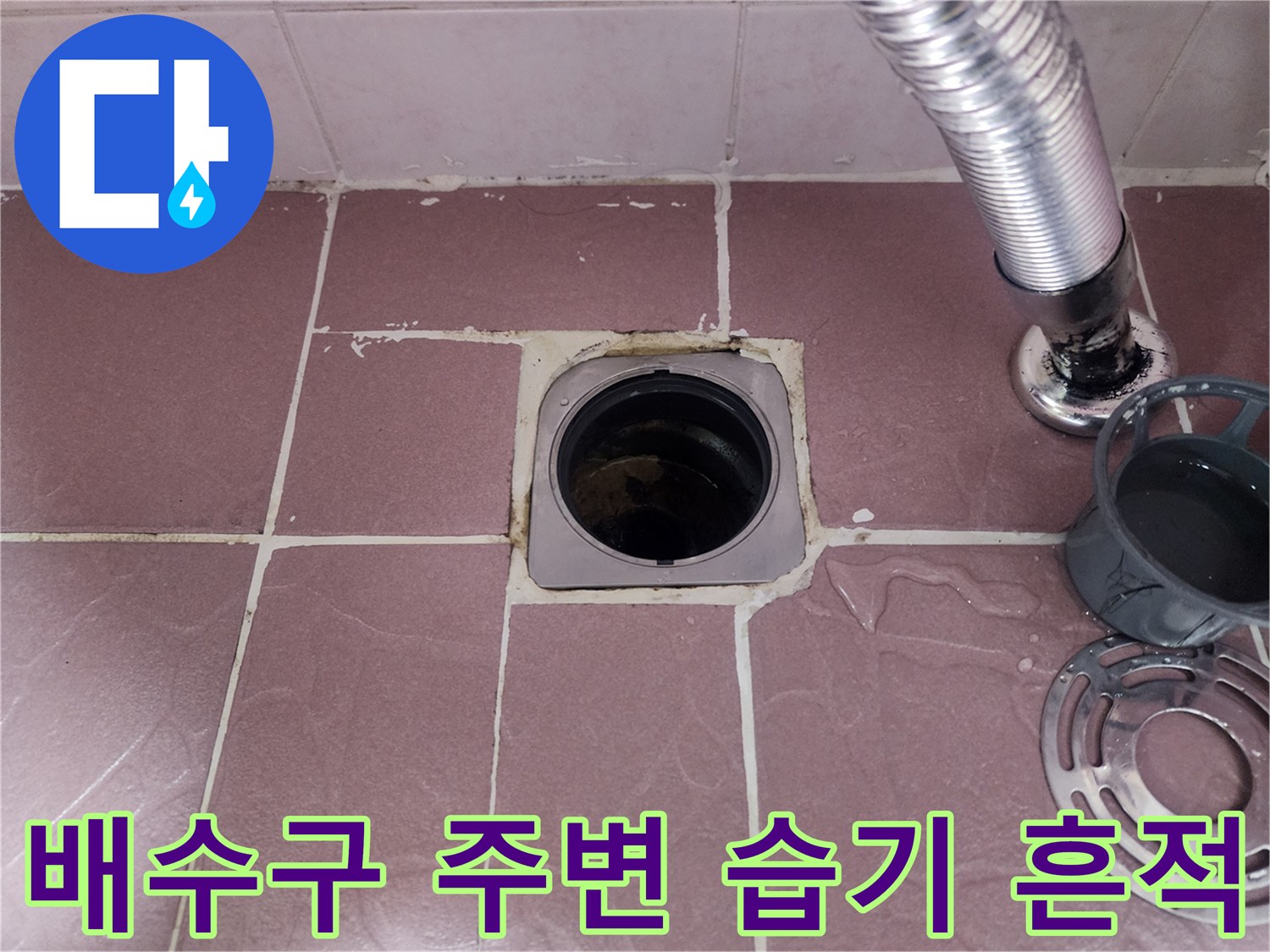 화장실-배수구-주변-타일-틈새의-습기-및-오염
