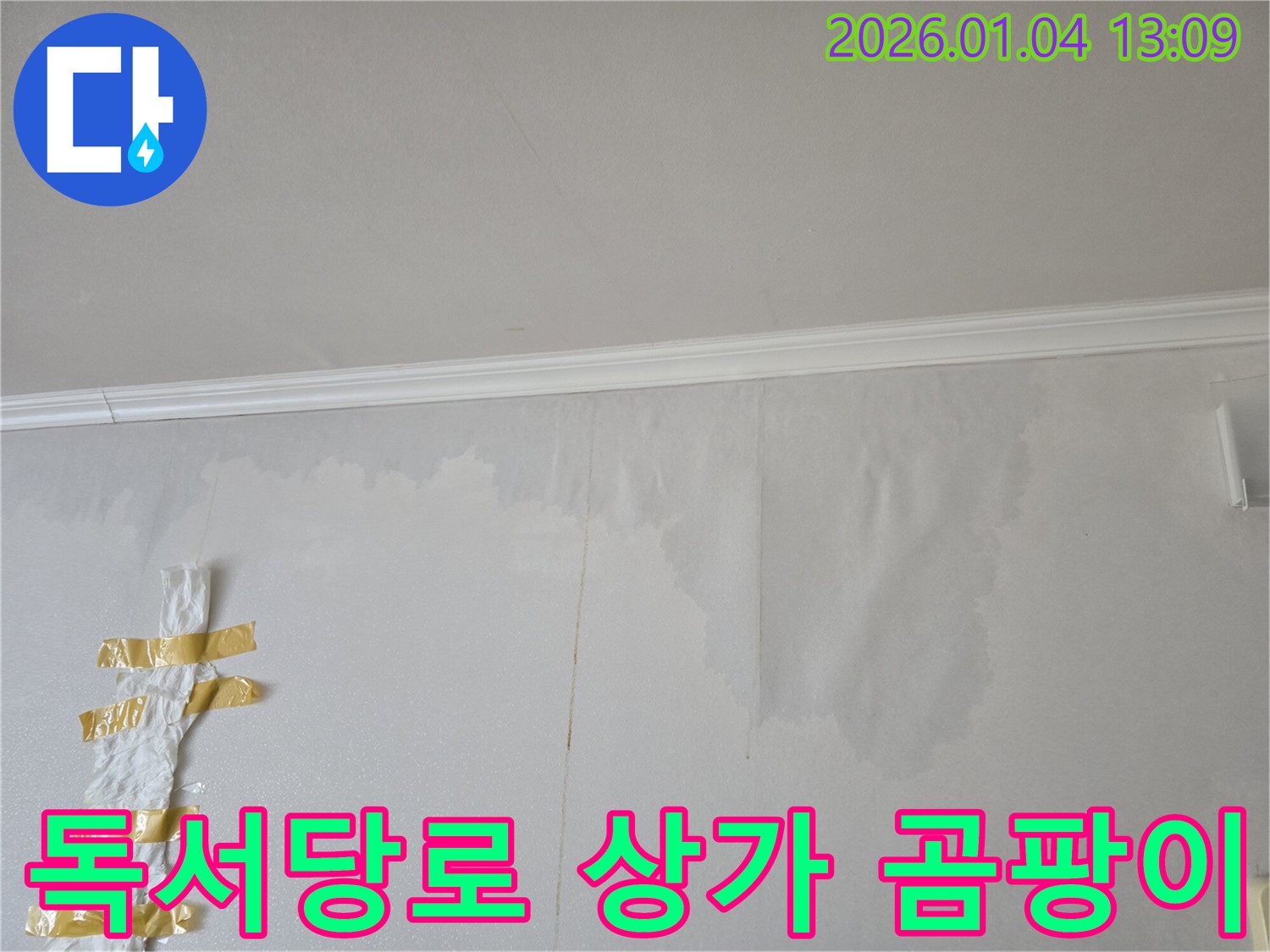 독서당로 상가 건물 벽 곰팡이 누수 - 누수 전문가가 정확한 진단과 완벽한 시공으로 누수를 해결하고 곰팡이까지 제거했습니다.