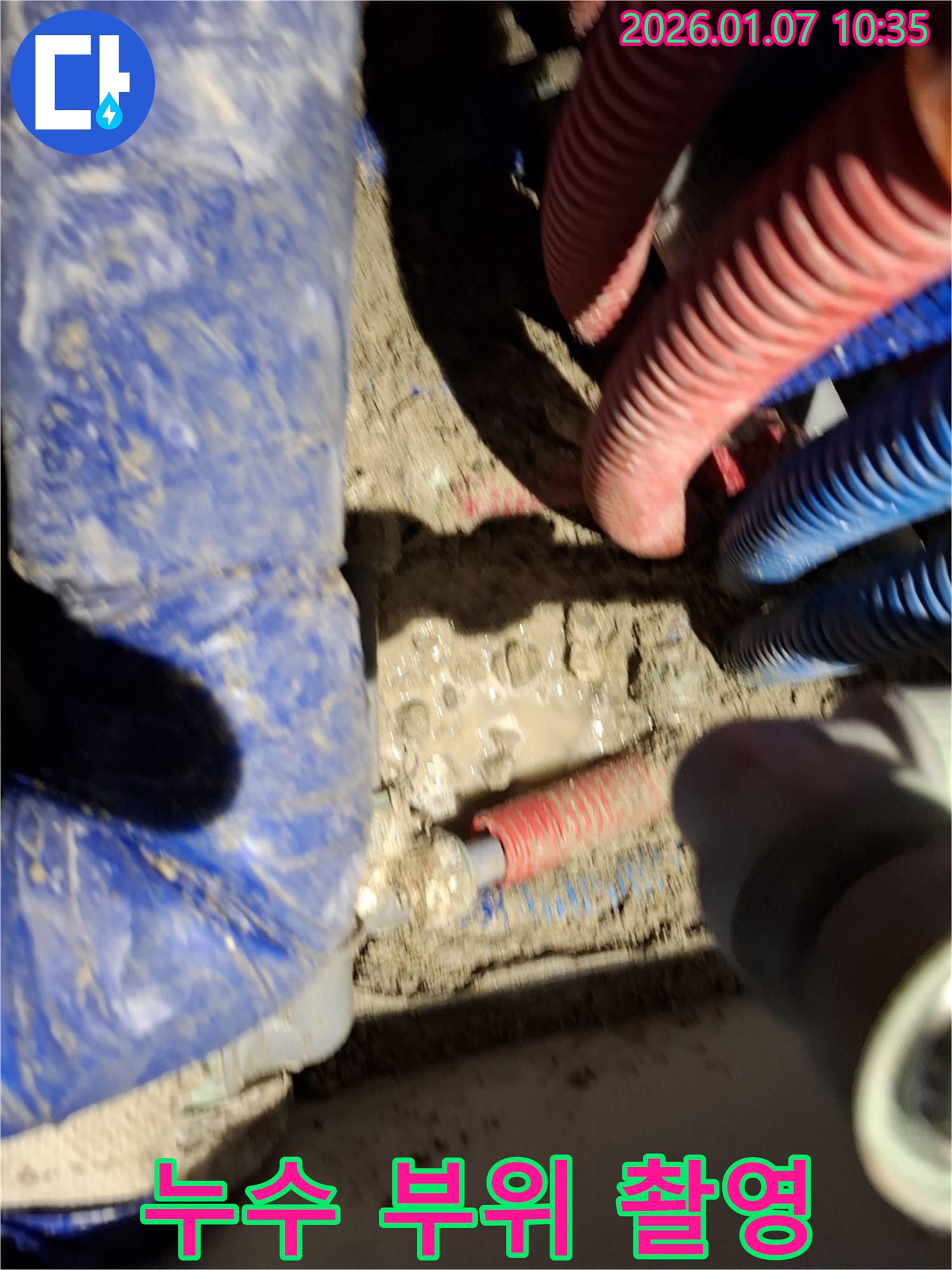 용인시 처인구 모현 누수 현장 - 누수 부위 정밀 촬영