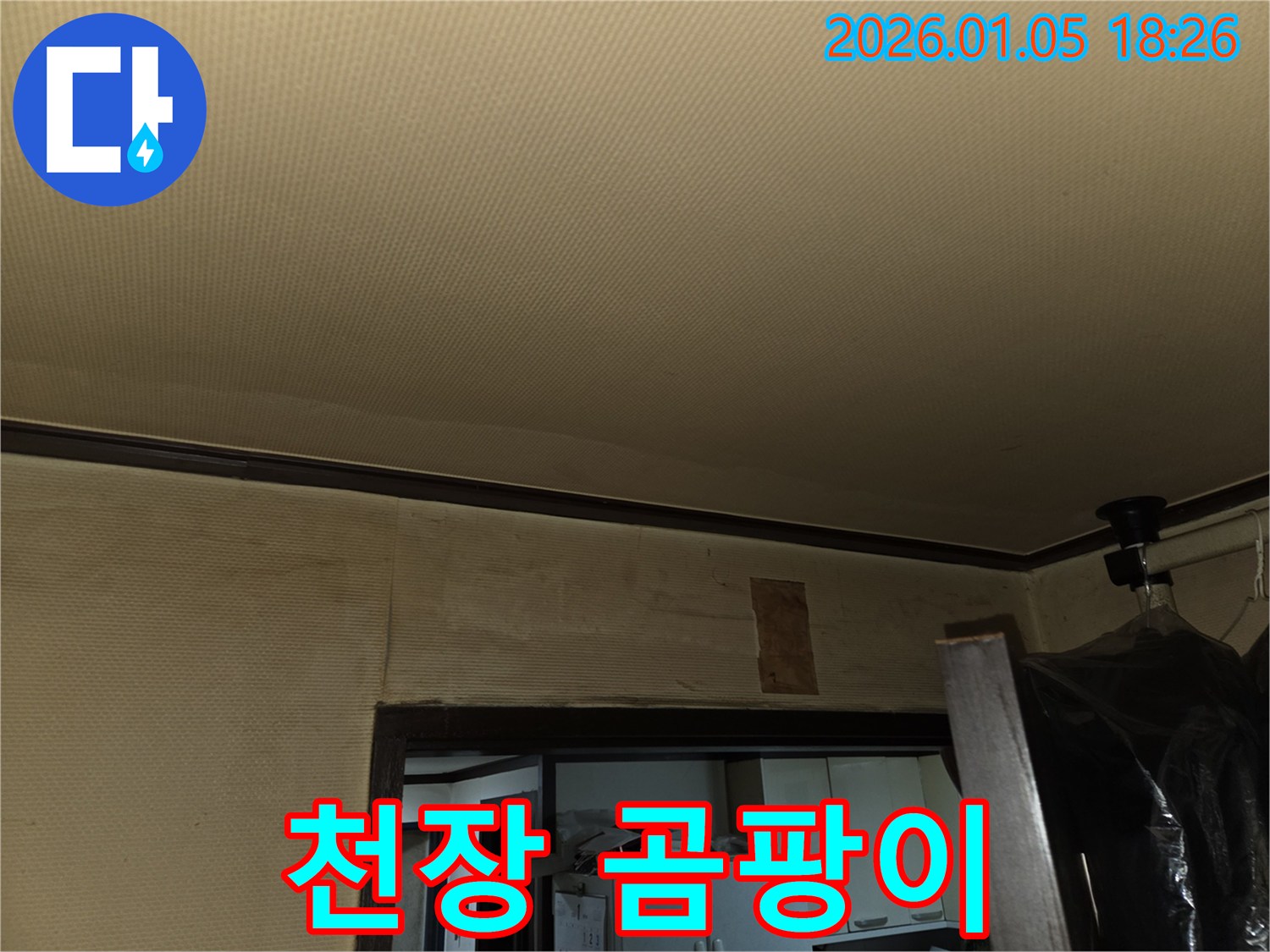 사릉 천장 곰팡이 - 누수 때문에 생긴 곰팡이일 수 있습니다.