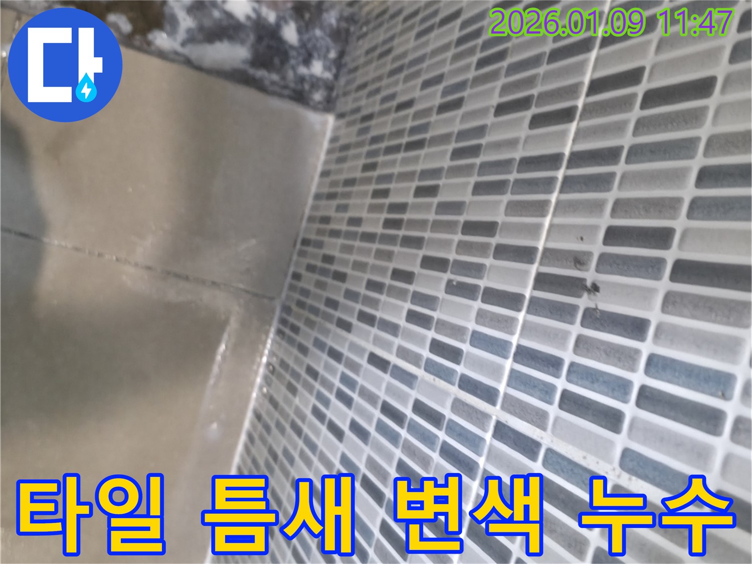 하남시 욕실 타일 틈새 변색 - 누수 의심될 경우 전문가에게 문의하세요