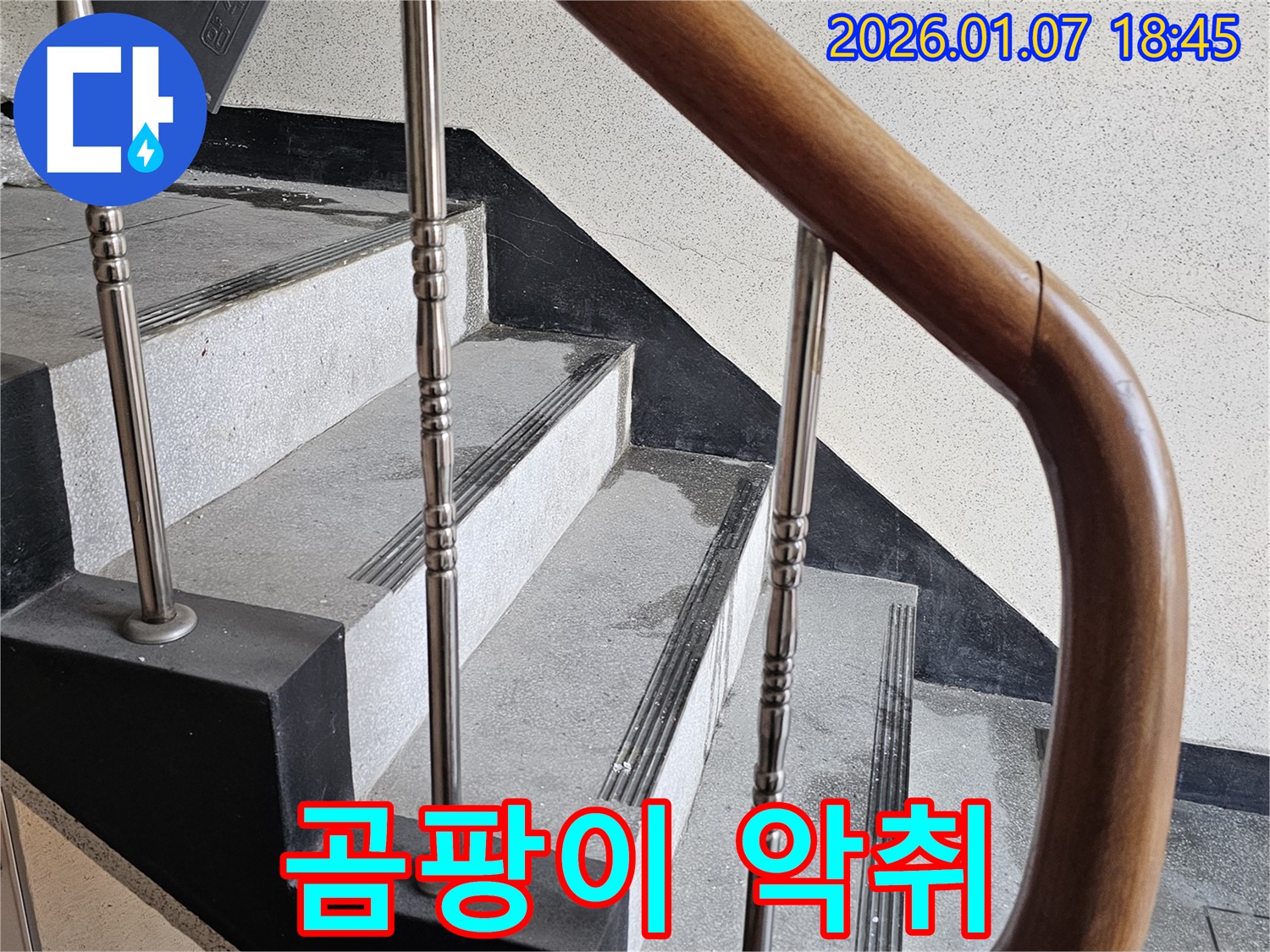 동두천 누수 - 중앙동 계단실 누수 - 벽면 곰팡이 발생 및 악취 문제, 쾌적한 환경 조성