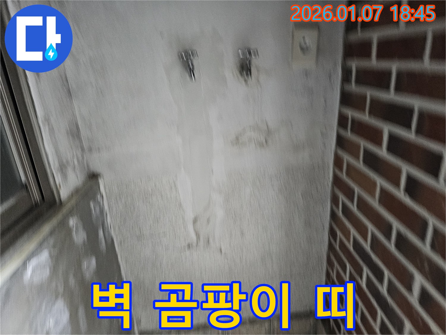 벽에 곰팡이 띠 - 곰팡이 벨트? 누수 집중 공략!