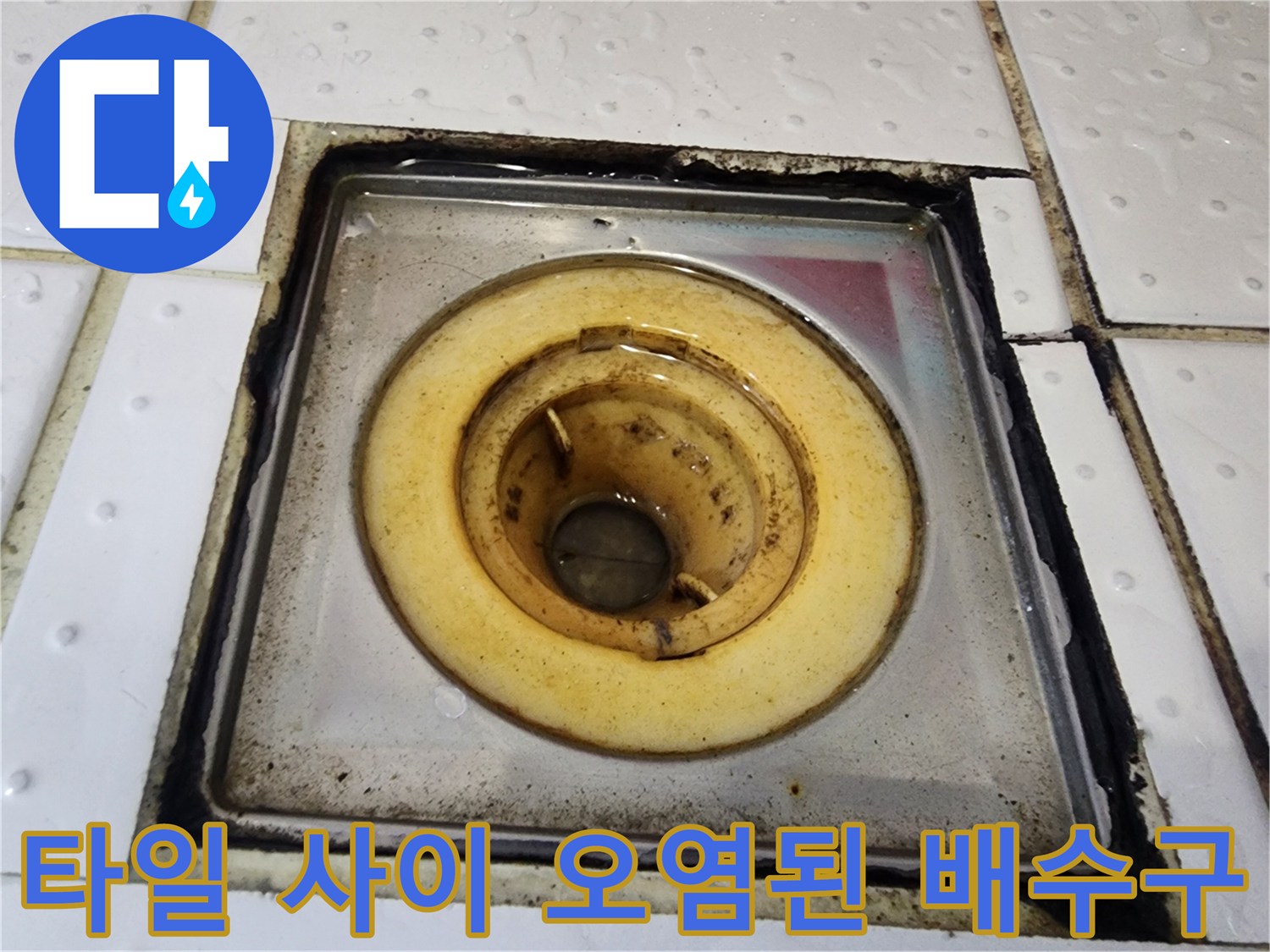 배수구-트랩-주변-타일-틈새의-오염과-습기-흔적