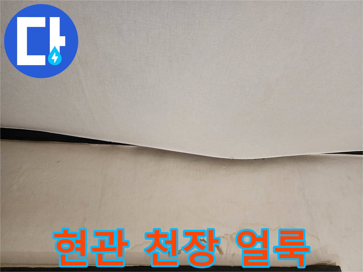 아랫집 현관 천장에 생긴 짙은 물자국과 얼룩 상태