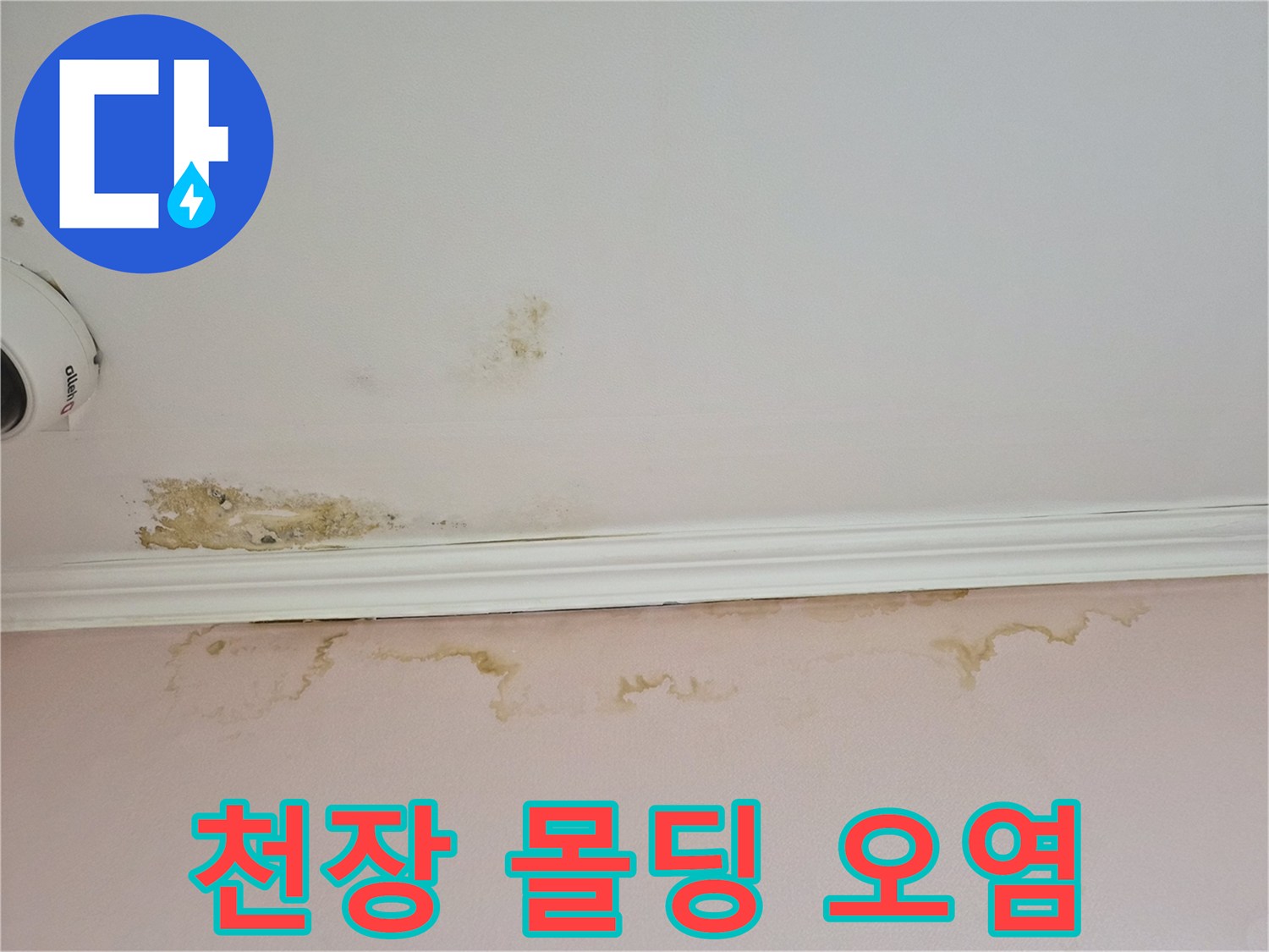 습기로 인해 갈색으로 변한 천장 몰딩과 벽면 경계