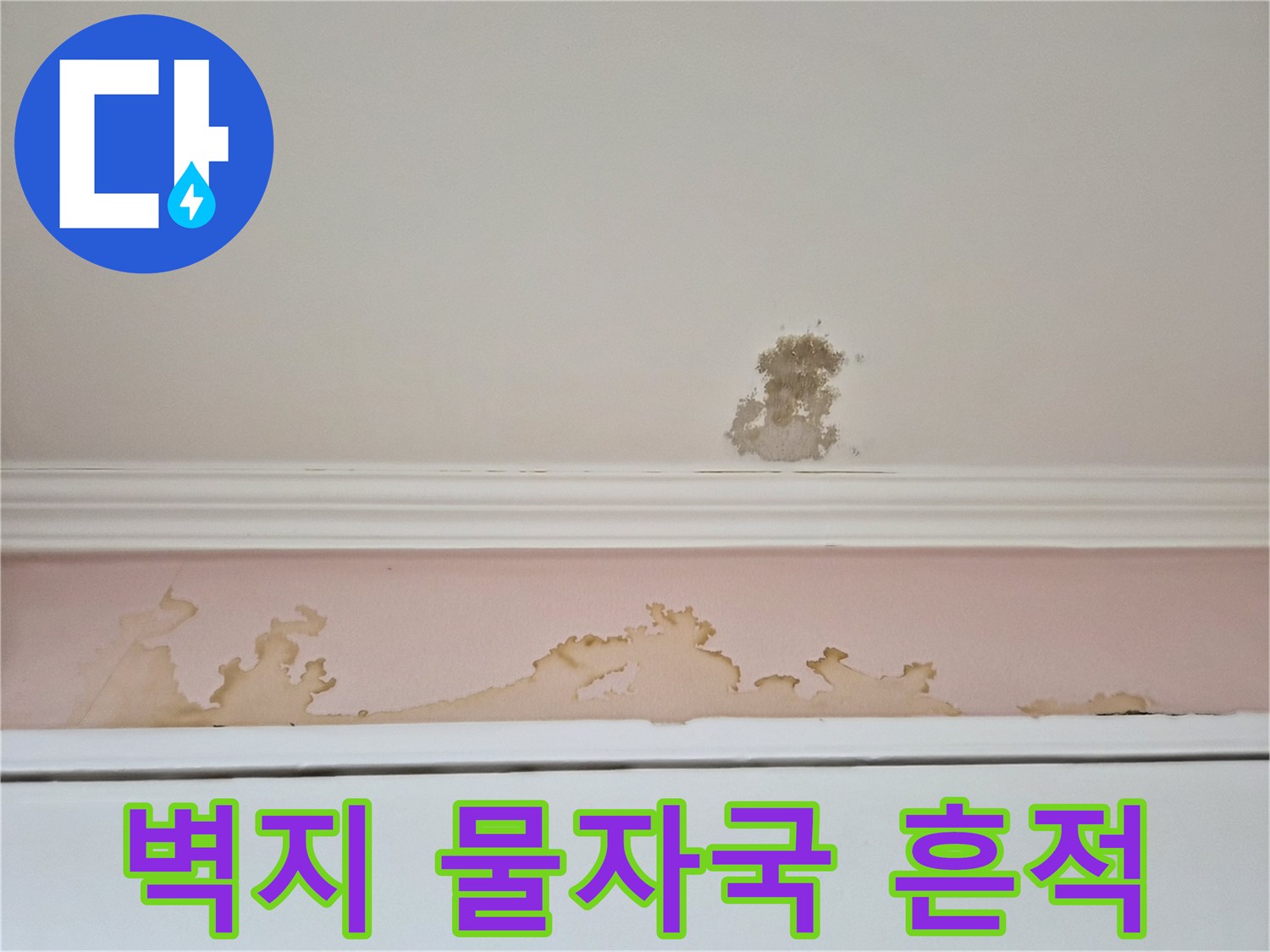 천장 몰딩 아래로 번진 벽지 젖음과 얼룩 현상