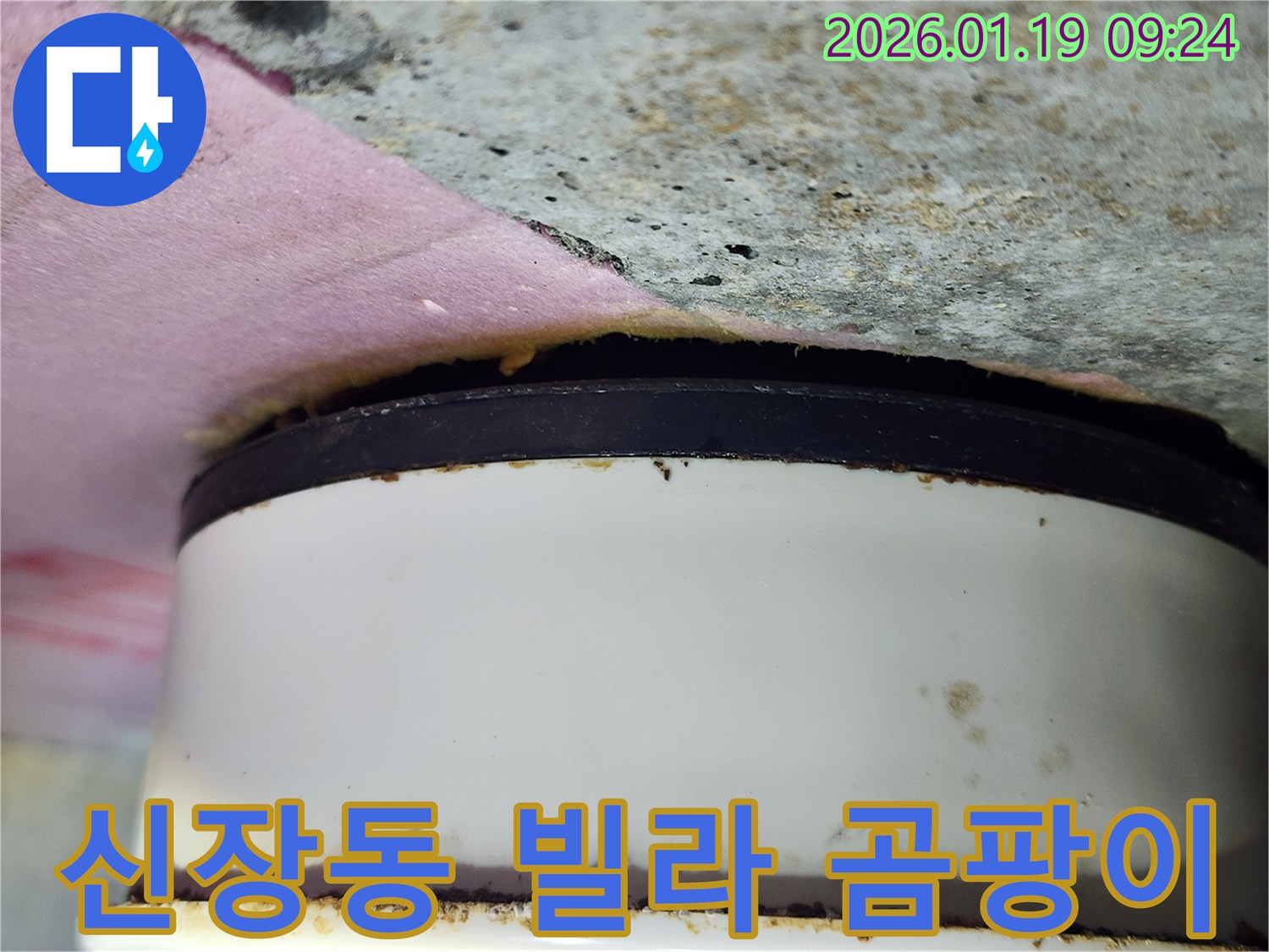 신장동 빌라 천장-배관 주변 곰팡이와 오염으로 인한 누수 흔적 확인
