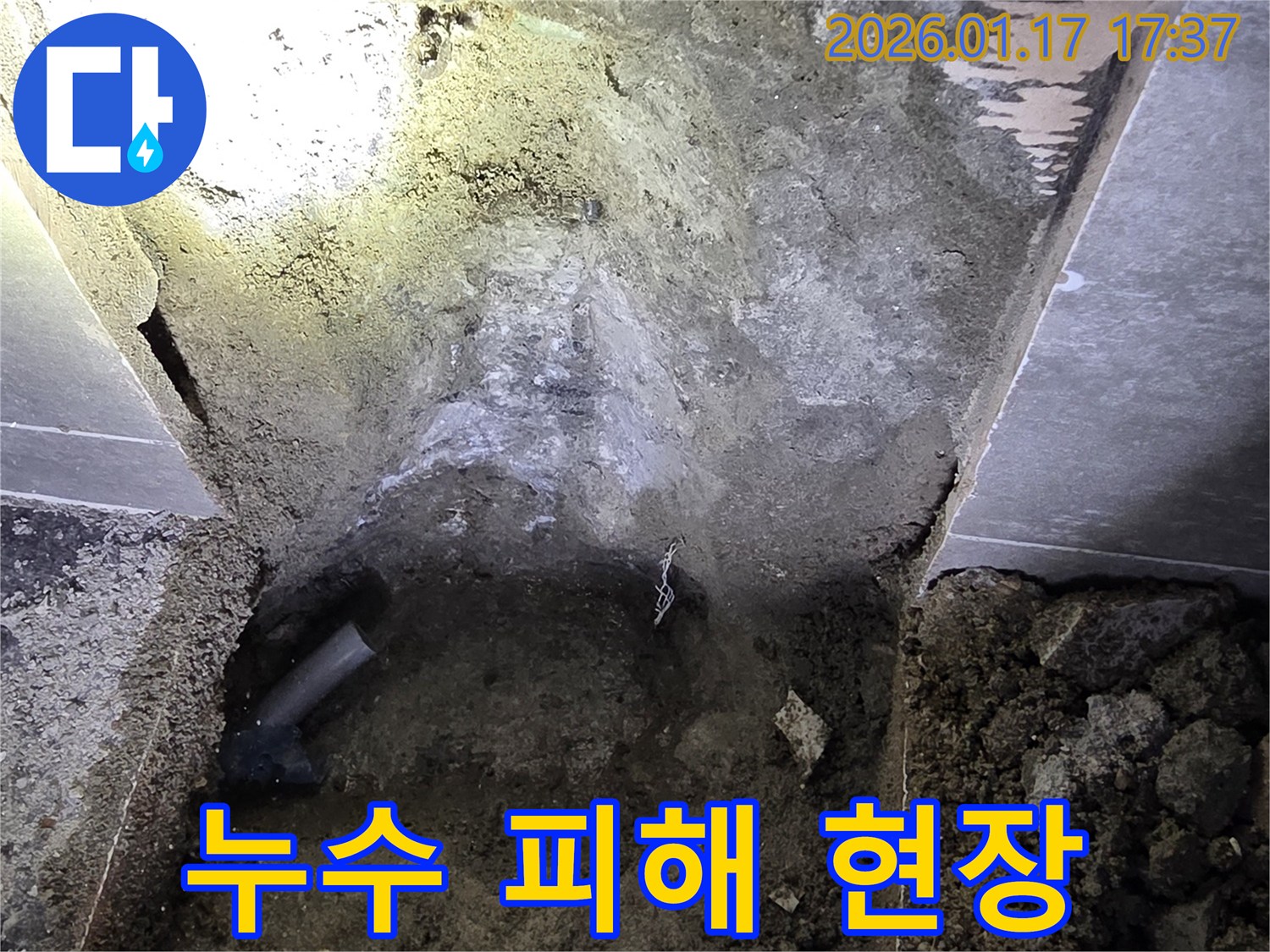 서울 중랑구에서 초기 진단 미흡으로-누수 피해가 커진 현장을 파쇄하고-배관을 확인하는 모습입니다.