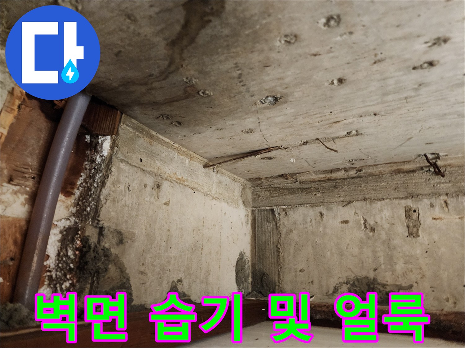 누수 현장 내부-습기가 스며든 벽면과 배관 구조물