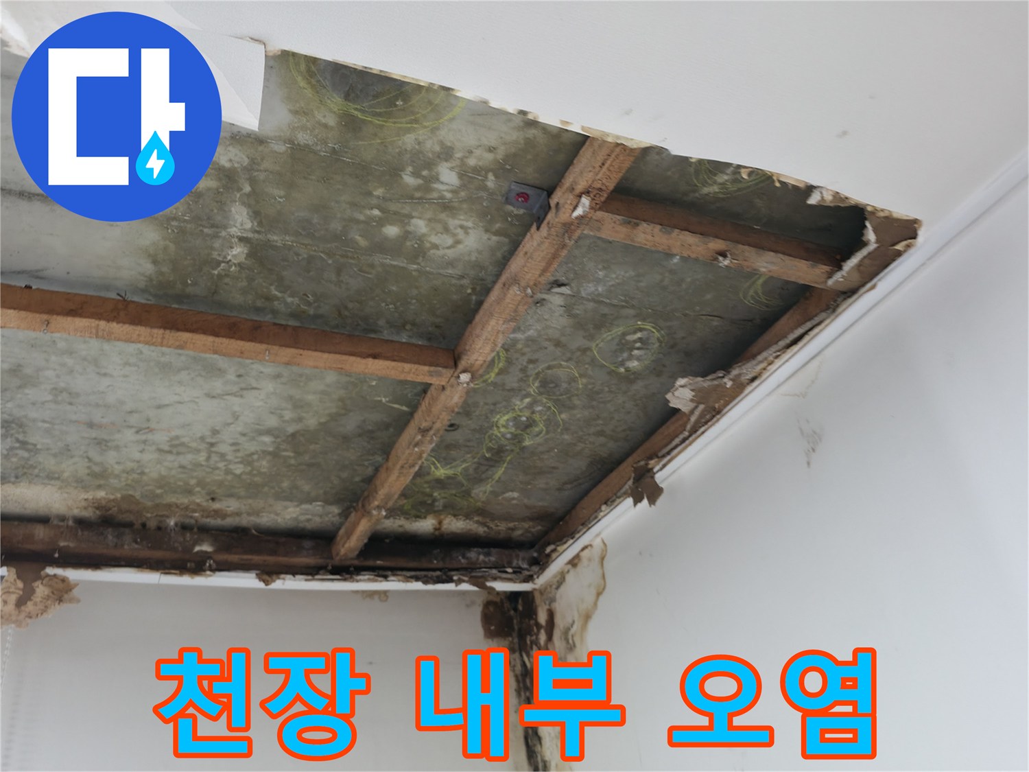 누수로 인해 부식되고 오염된 천장 내부 구조물