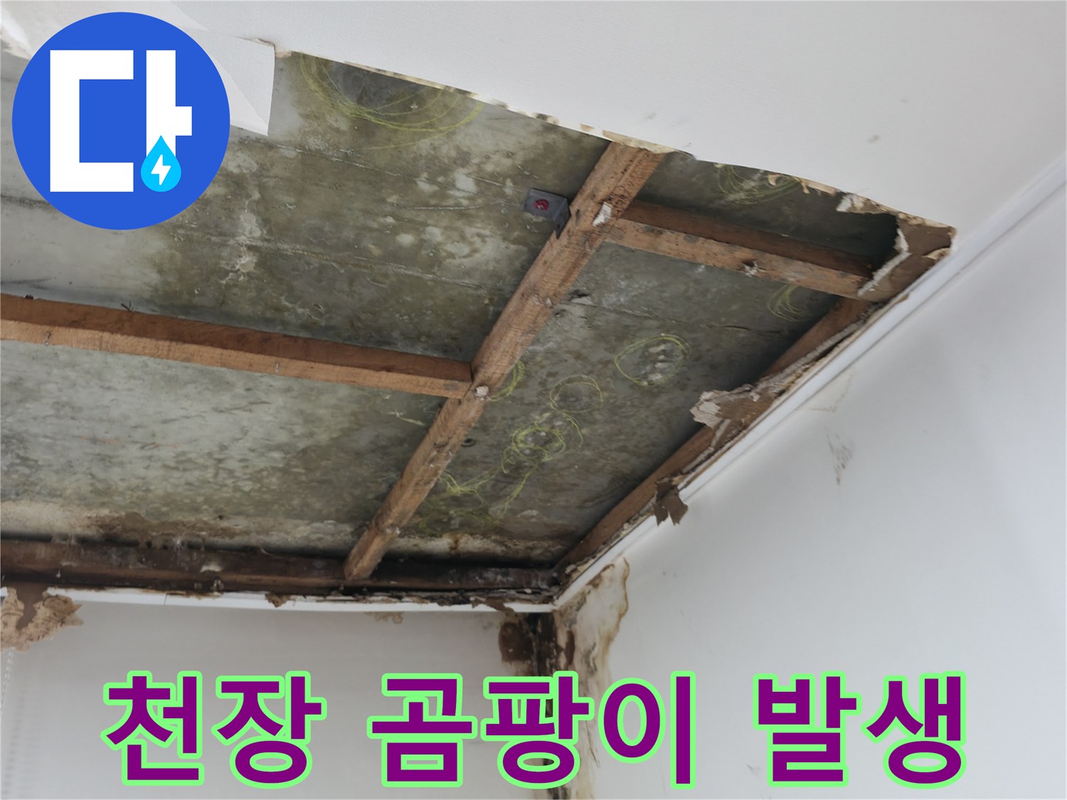 습기로 인해 검게 변한 천장 내부 구조물
