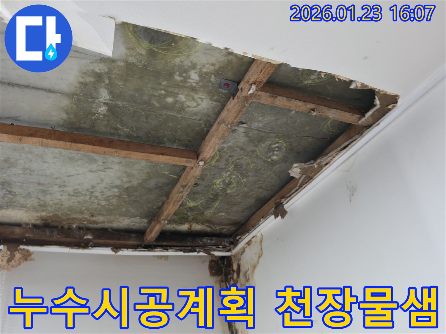 천장-누수로-인해-손상된-부분을-드러내고-정확한-누수-지점을-찾아내는-작업-현장