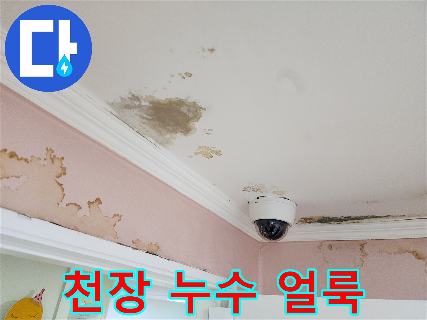 천장과 벽면 연결 부위의 심각한 변색 상태
