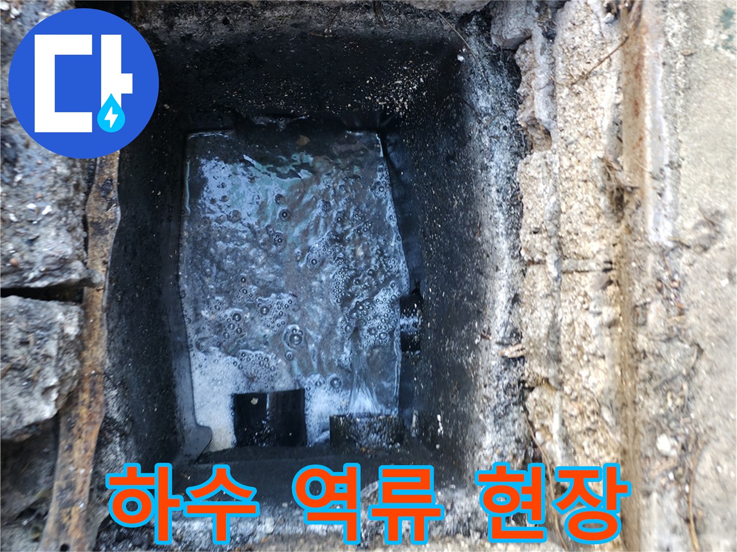 강북구 반지하 세대-배관 내부 오수 역류 상태를 보여주는 사진입니다.