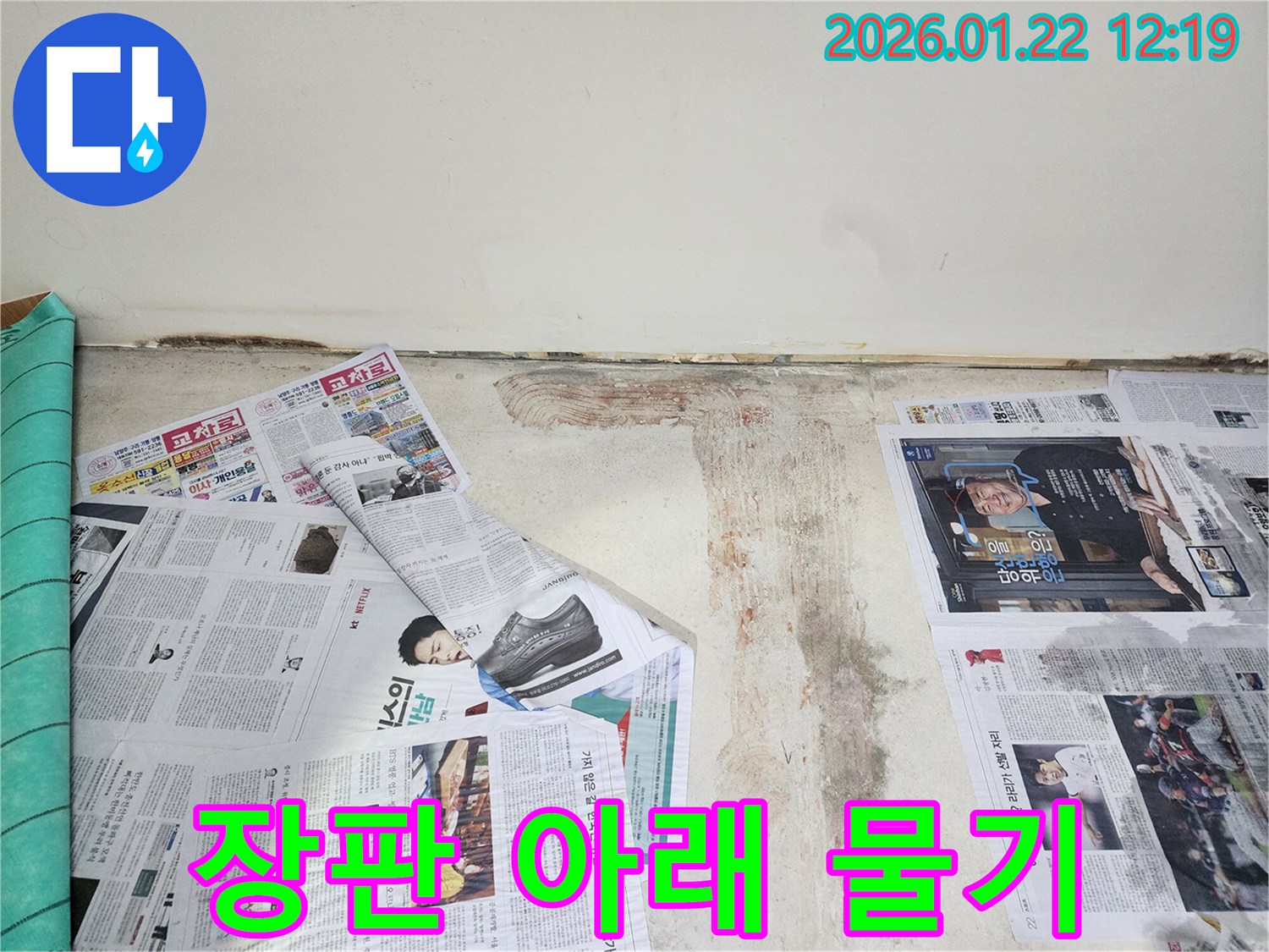 남양주 호평동 누수 현장에서 장판 아래 숨어있던 물기와 습기를 확인하고 있습니다.