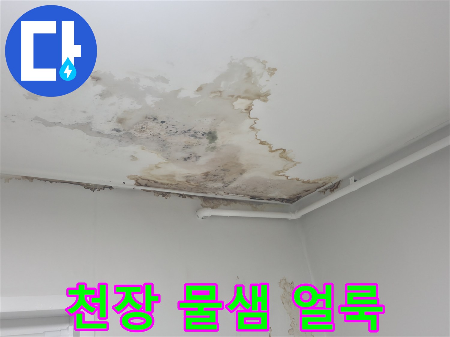 노원구 중계동 아파트 천장에 발생한 광범양한 누수 흔적과 변색 부위