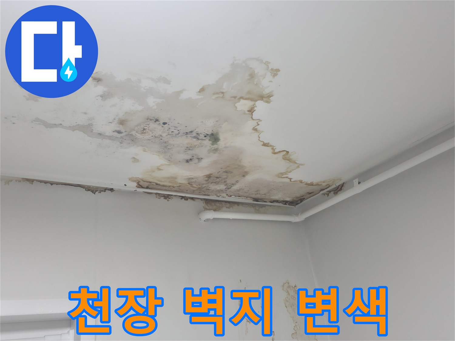 천장 도배지가 젖어 곰팡이가 피어오른 누수 현장 사진