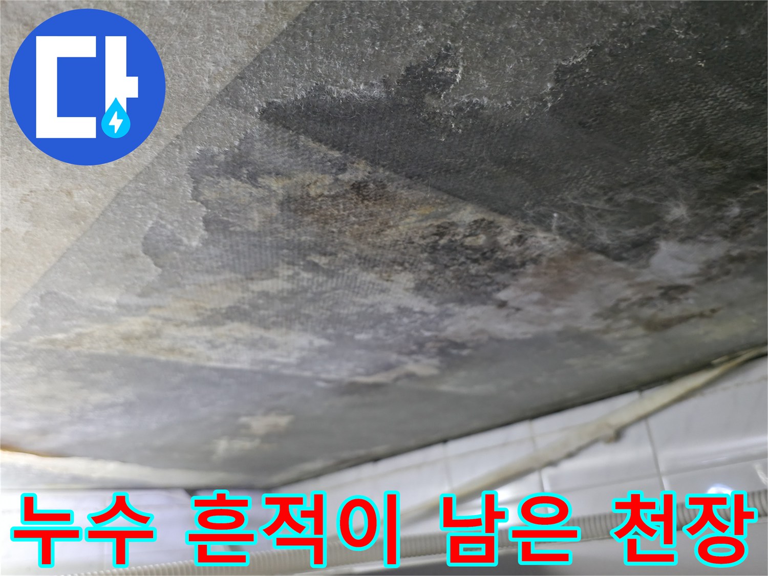 습기로 인한 콘크리트 변색과 곰팡이가 발생한 천장 내부