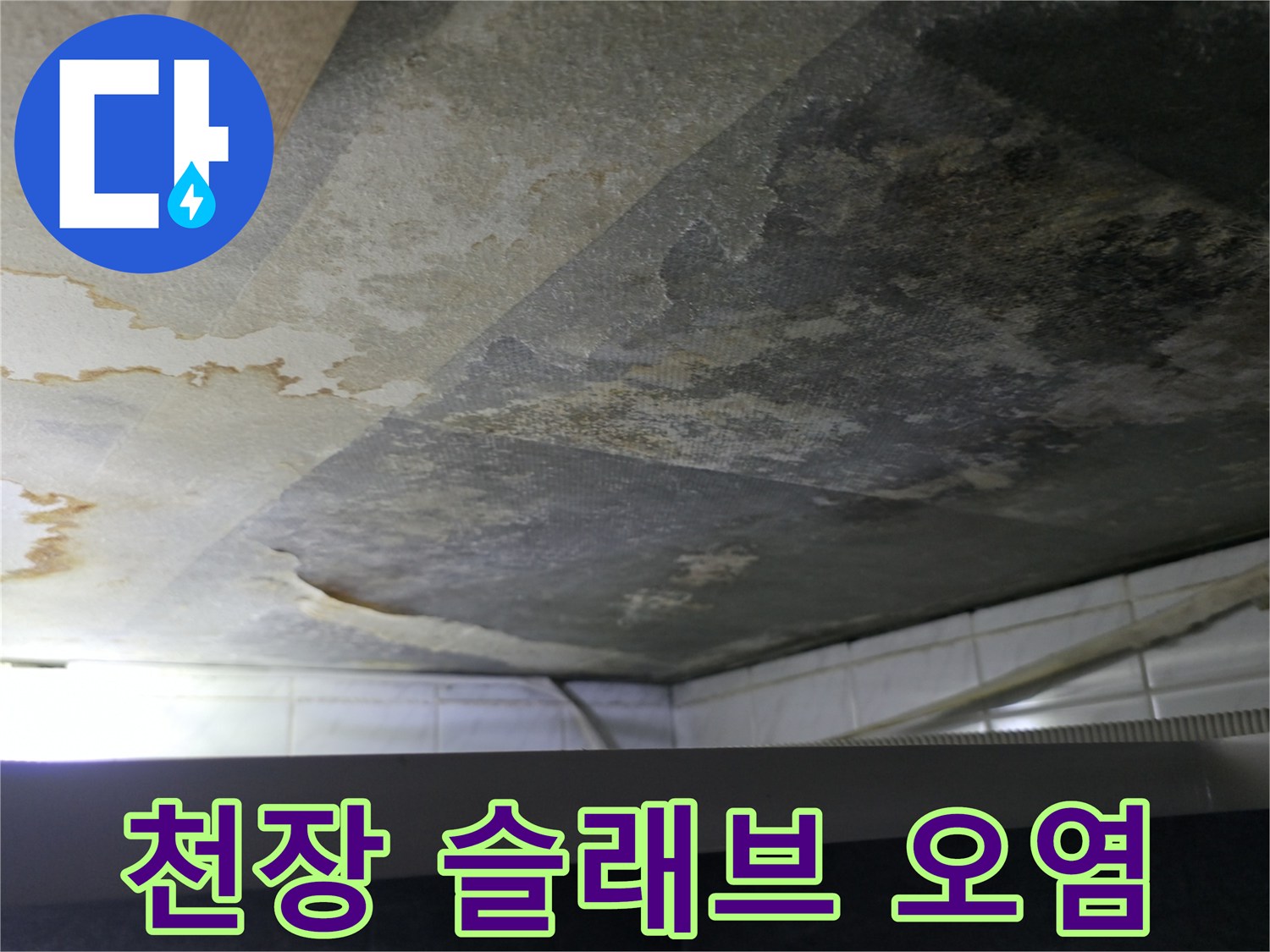 화장실-천장-콘크리트-슬래브의-심한-습기와-곰팡이-상태