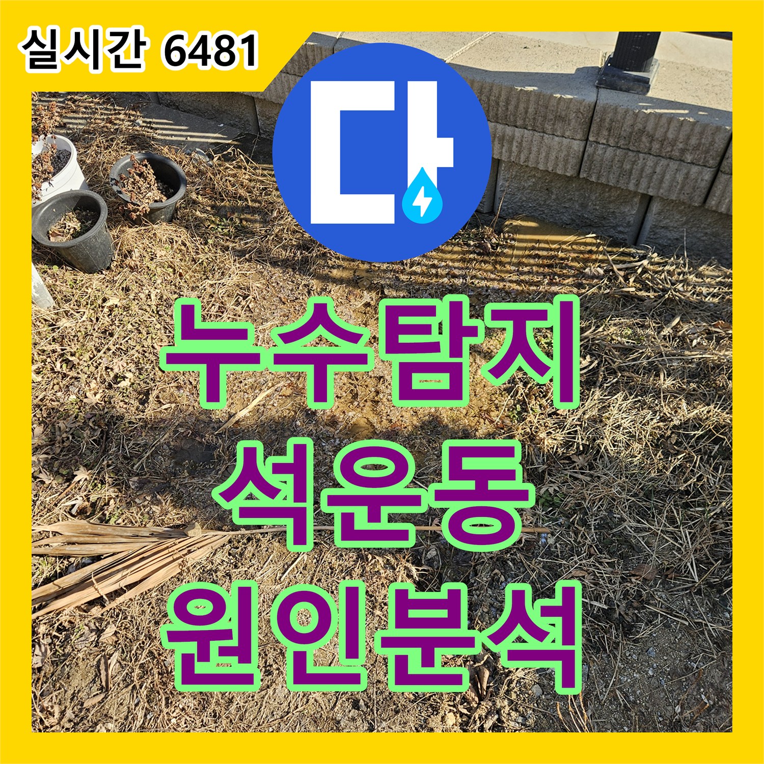누수탐지비용 - 하수관 역류 및 누수, 전문 장비로 원인 분석 - 석운동