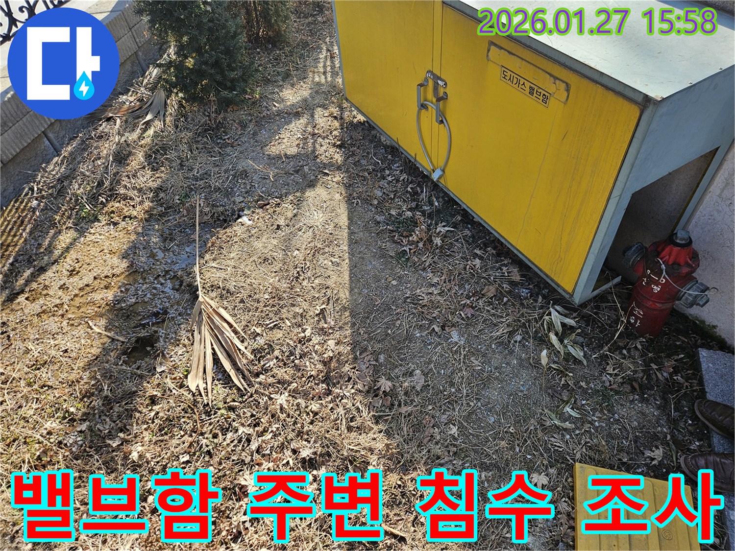 분당구 판교 누수탐지-도시가스 밸브함 주변 침수 흔적-정밀 조사 진행
