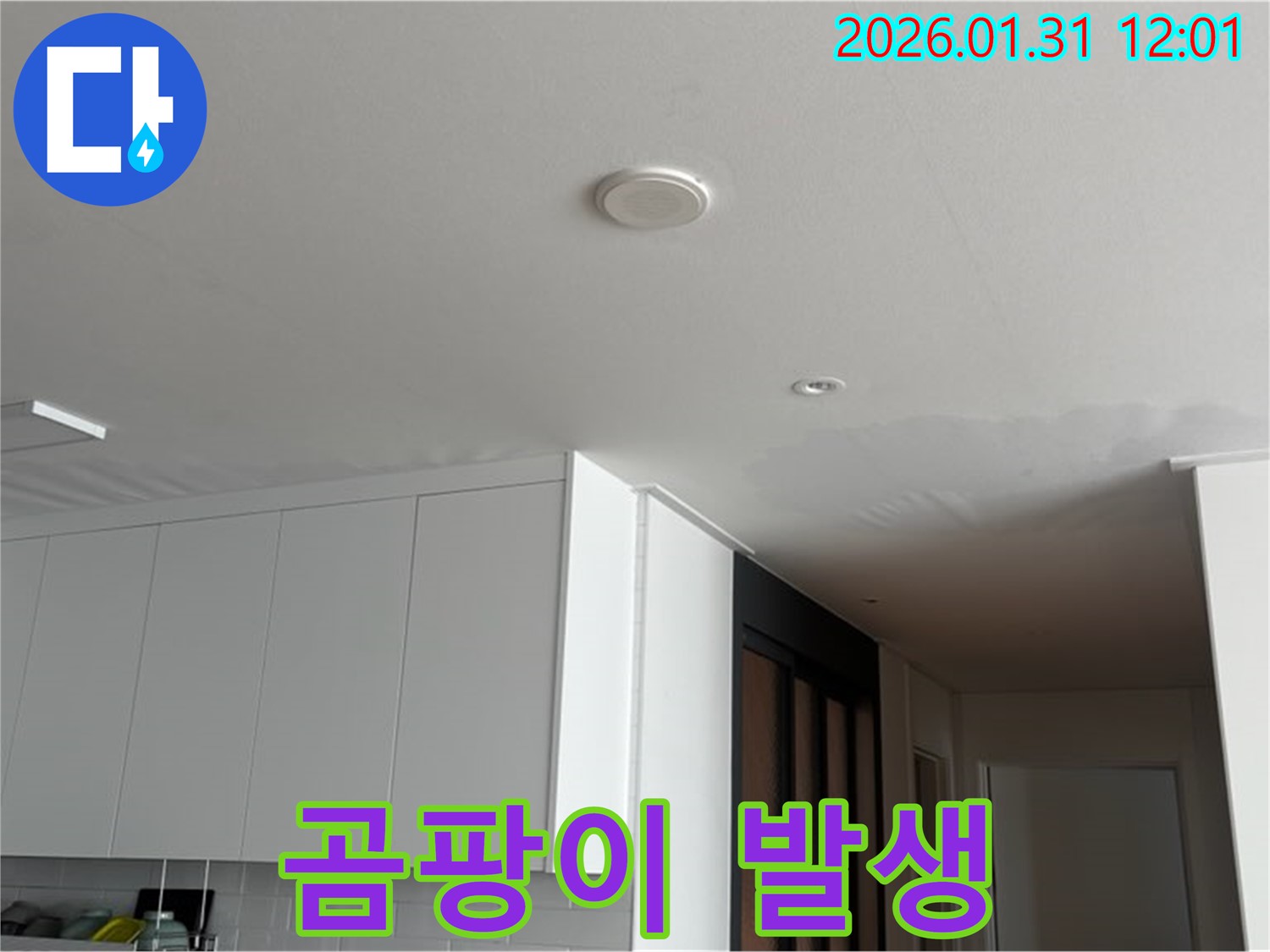 광교 아파트 천장 누수 - 곰팡이 발생 및 건강 위협
