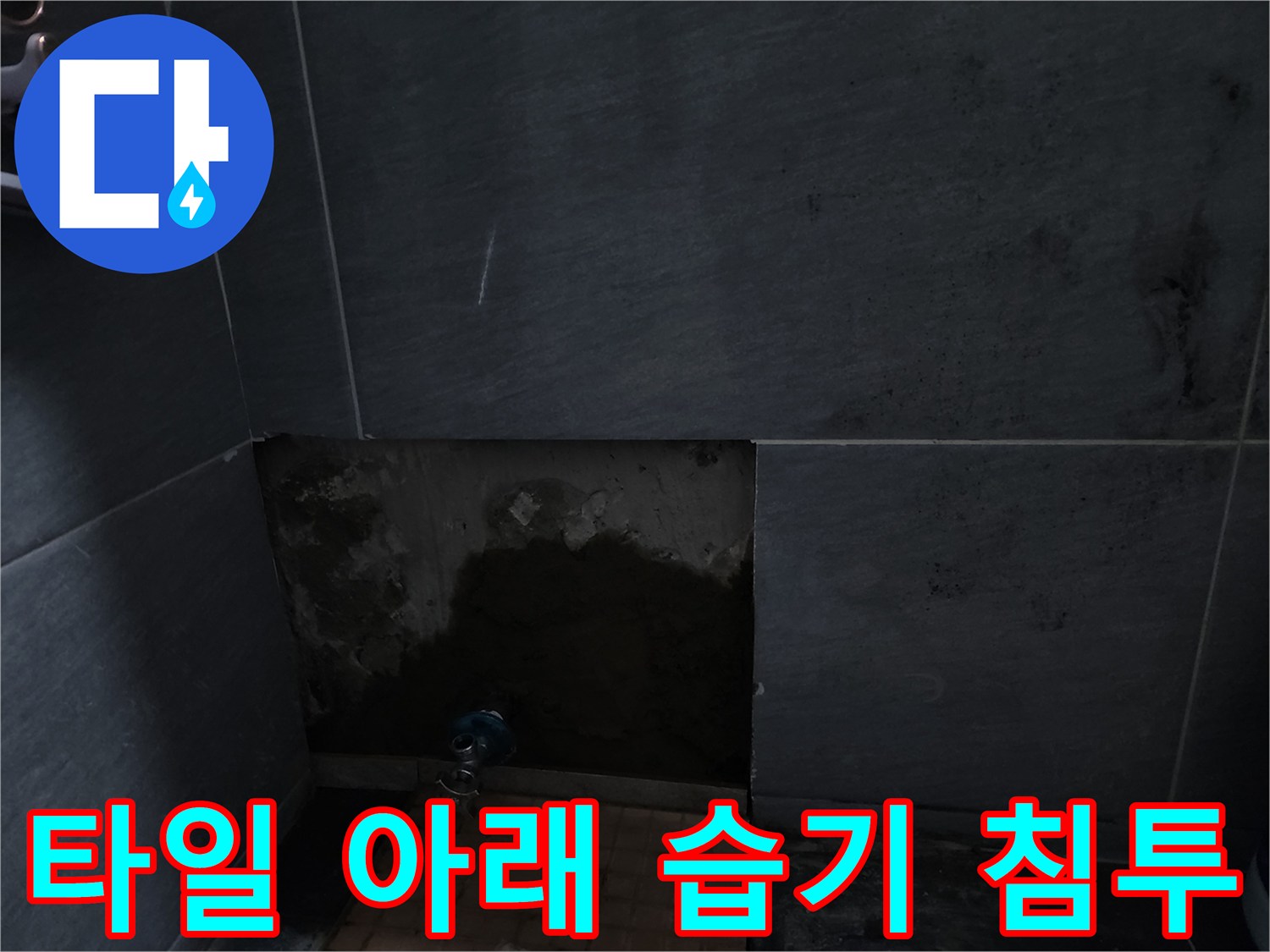화장실 벽체-배관 누수로 인한 타일 변색 및 습윤 상태