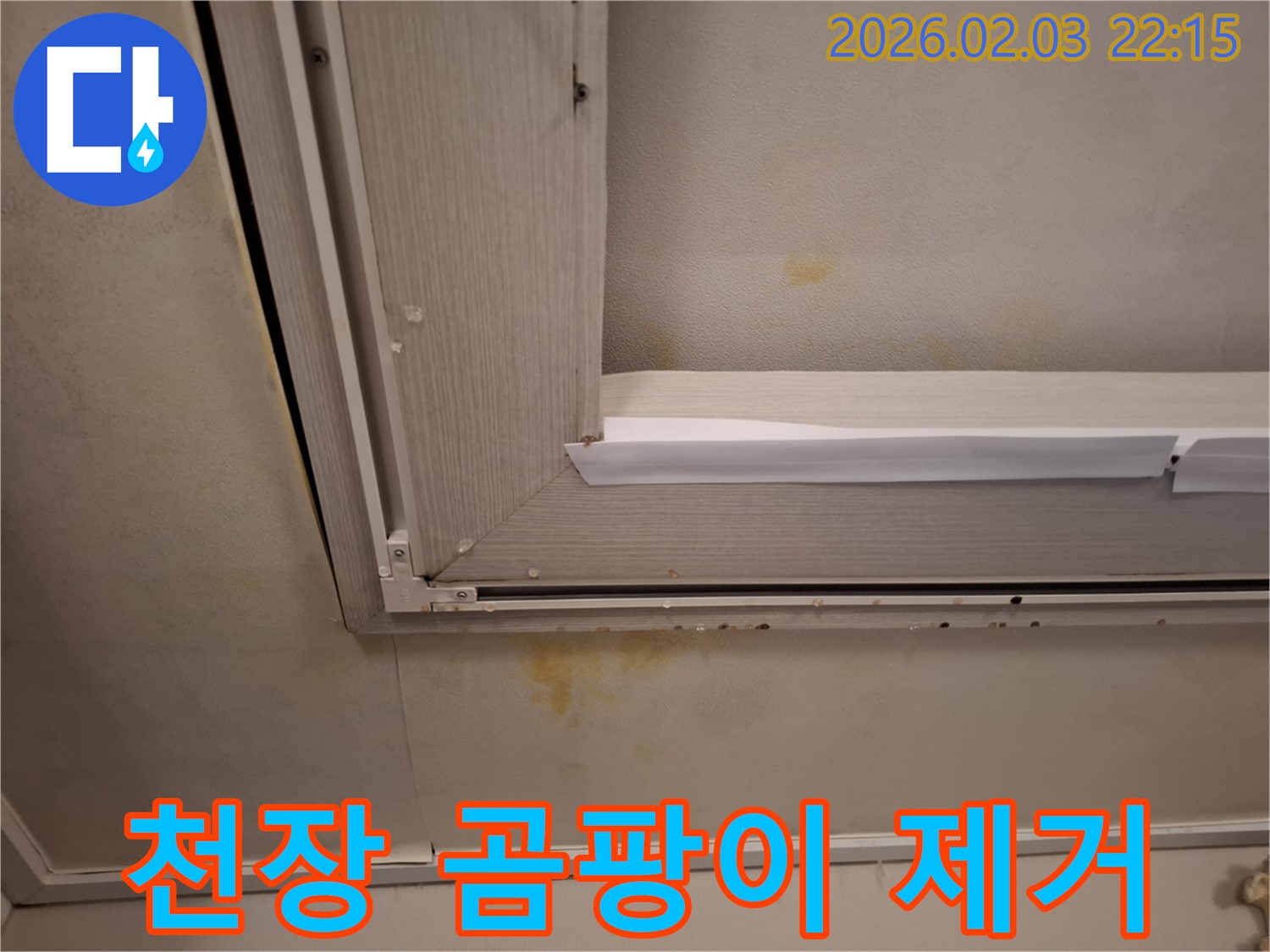 안방 천장 석고보드 곰팡이 제거 및 누수 해결 - 깨끗하게 제거하고 완벽하게 방지!