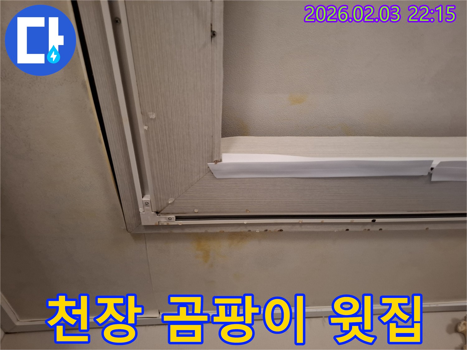윗집 배관 문제로 인한 천장 곰팡이와 누수 - 깨끗하게 제거하고 완벽하게 방지!