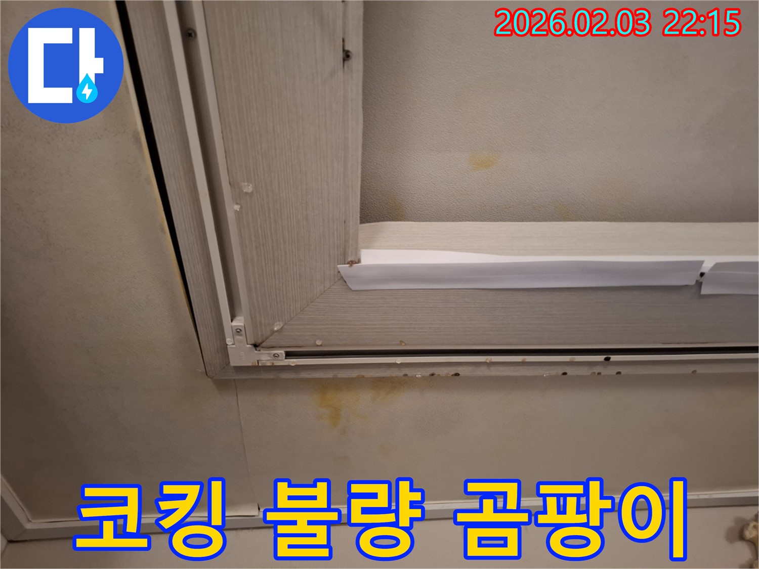 창문 코킹 불량으로 인한 천장 석고보드 곰팡이 - 코킹 보수와 곰팡이 제거로 해결!