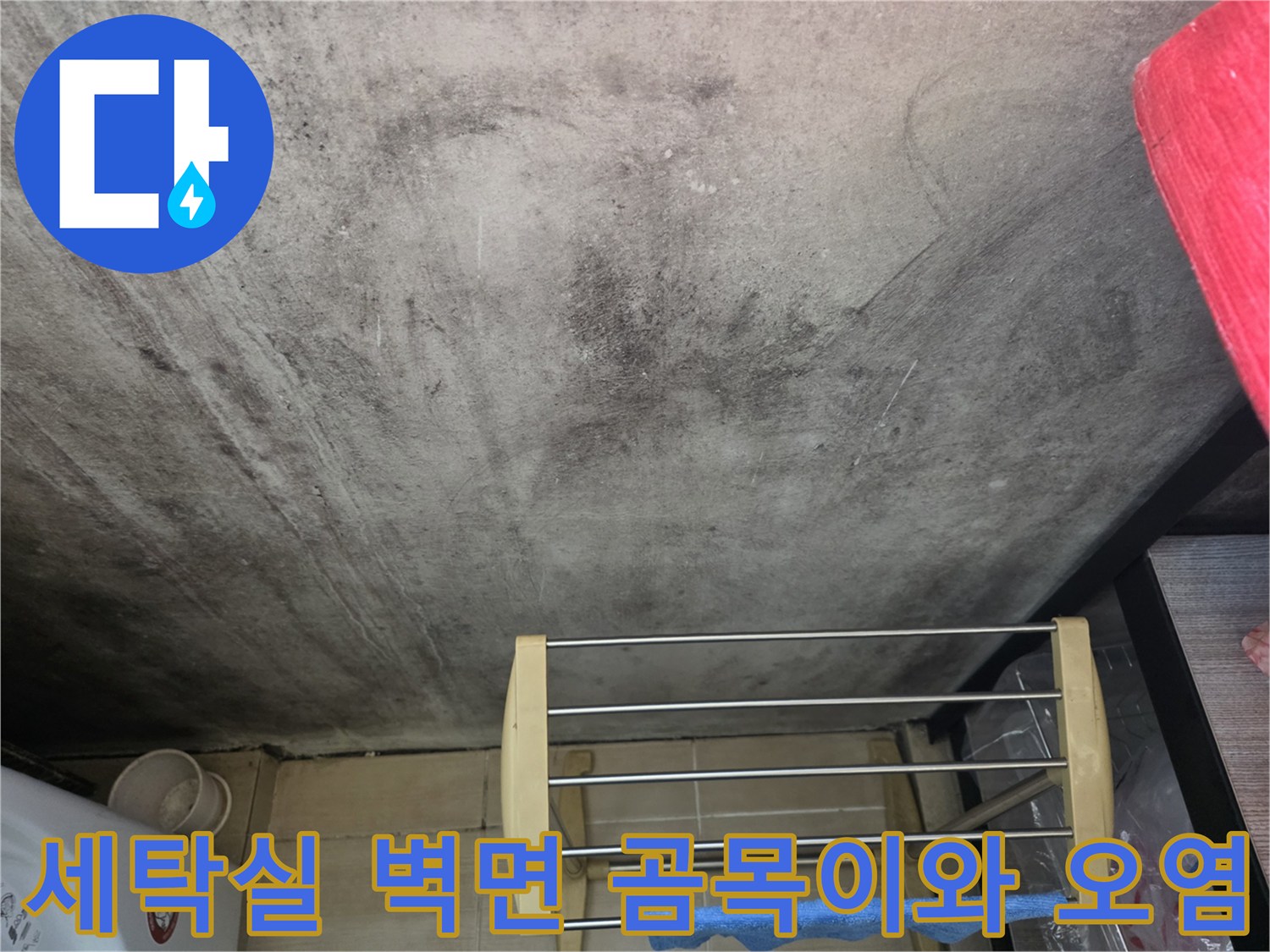 마포구 세탁실-벽면 곰팡이 및 습기 오염 상태