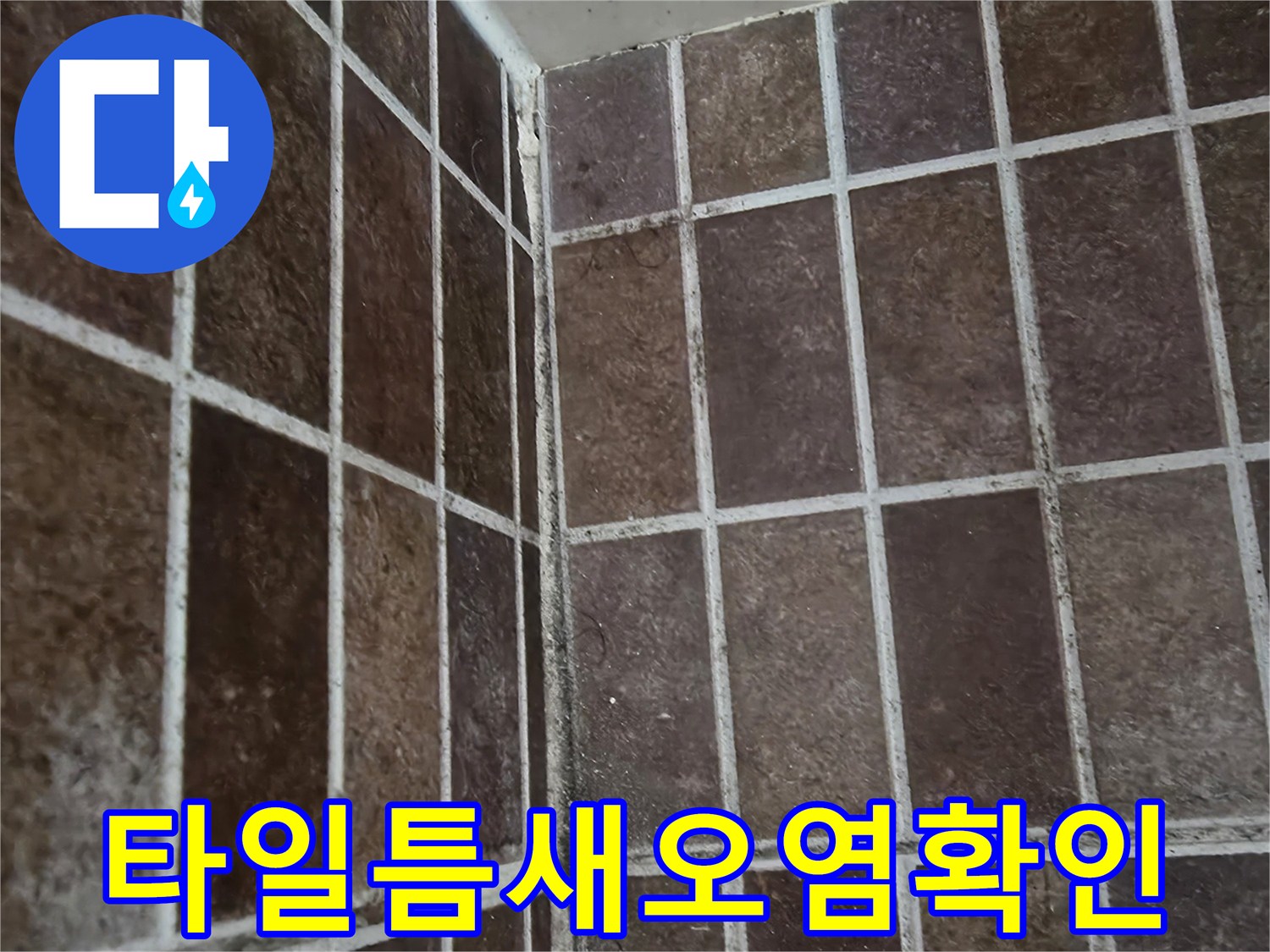 벽면 타일 틈새에 발생한 곰팡이와 물때 사진