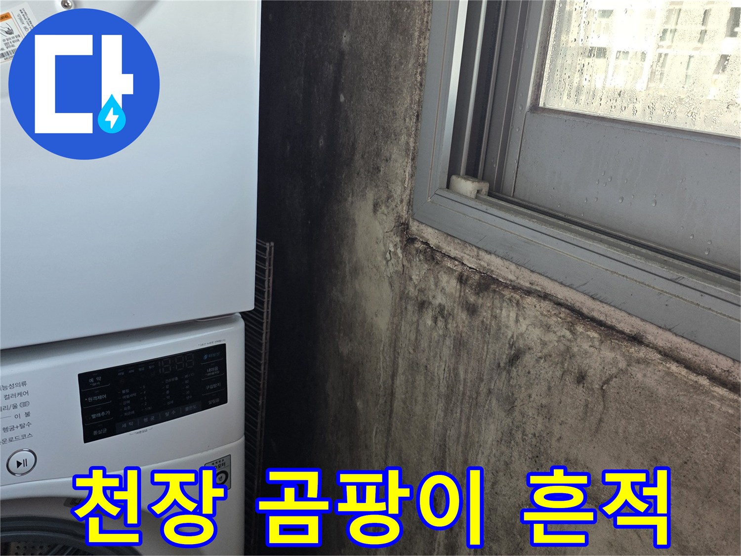 세탁실-창가-근처-천장의-어두운-곰팡이-오염