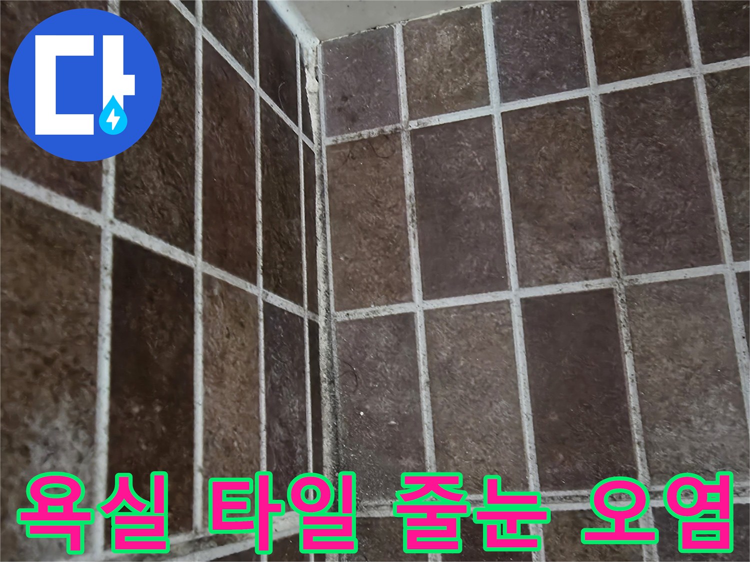 오염된 욕실 타일-타일 틈새의 습기 및 곰팡이 발생 상태를 보여줍니다.