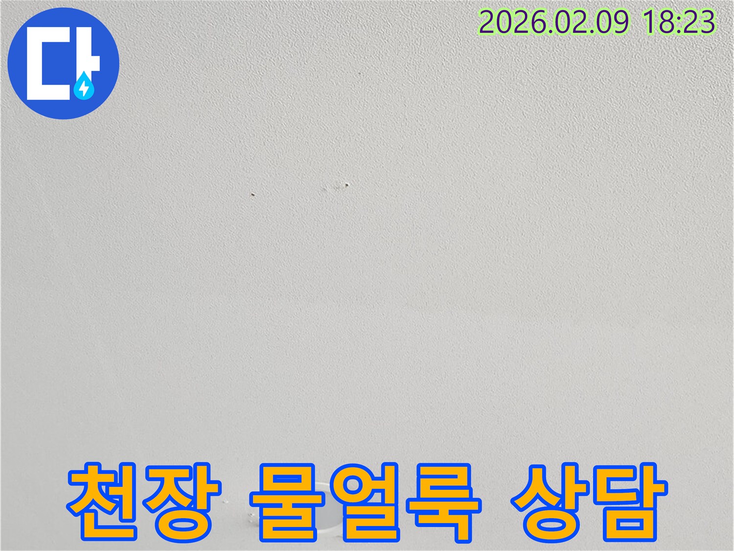 천장-표면에-나타난-물얼룩과-누수-문제에-대한-전문가-상담-필요성